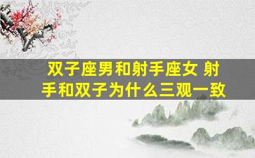 双子座男和射手座女 射手和双子为什么三观一致